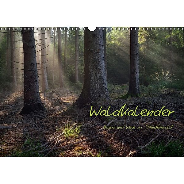 Waldkalender (Wandkalender 2018 DIN A3 quer), Hans Zitzler
