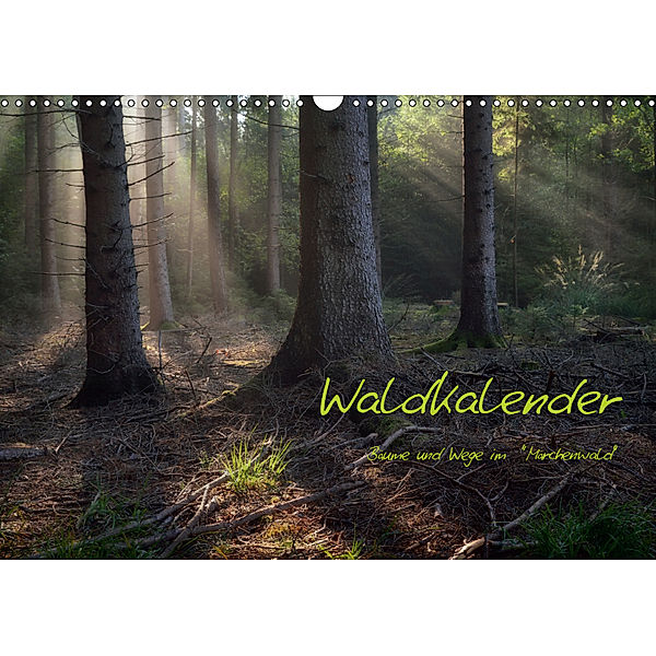 Waldkalender (Wandkalender 2019 DIN A3 quer), Hans Zitzler