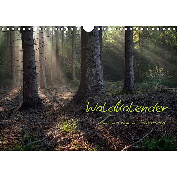 Waldkalender (Wandkalender 2021 DIN A4 quer), Hans Zitzler