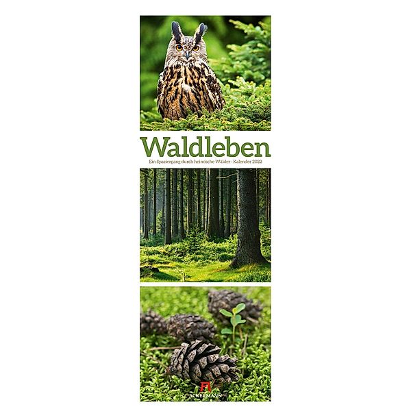 Waldleben - Ein Spaziergang durch heimische Wälder, Triplet-Kalender 2022