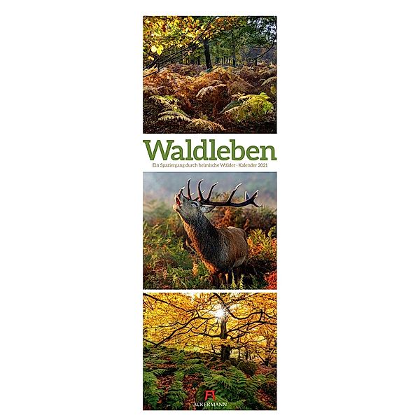 Waldleben, Triplet-Kalender 2021