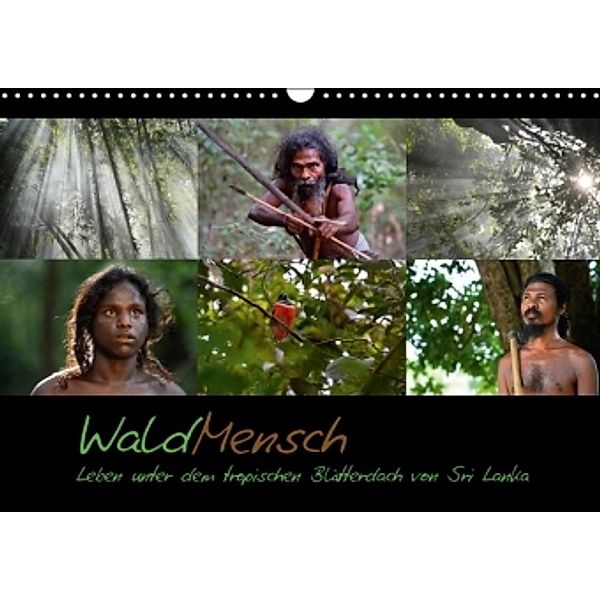 WaldMensch - Leben unter dem tropischen Blätterdach von Sri Lanka (Wandkalender 2016 DIN A3 quer), Udo Herrmann