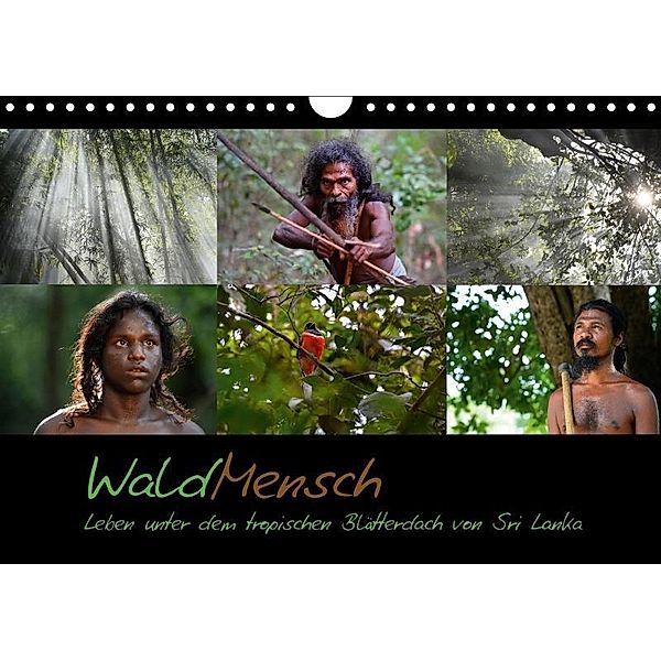 WaldMensch - Leben unter dem tropischen Blätterdach von Sri Lanka (Wandkalender 2017 DIN A4 quer), Udo Herrmann