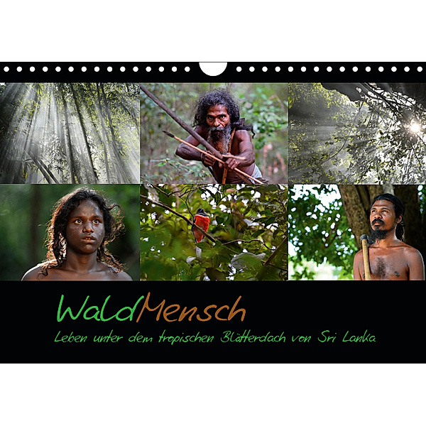 WaldMensch - Leben unter dem tropischen Blätterdach von Sri Lanka (Wandkalender 2019 DIN A4 quer), Udo Herrmann