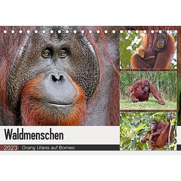 Waldmenschen - Orang Utans auf Borneo (Tischkalender 2023 DIN A5 quer), Michael Herzog