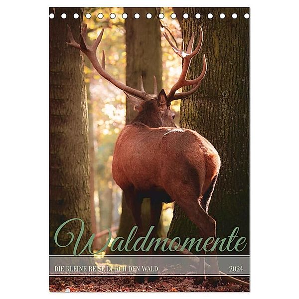 Waldmomente (Tischkalender 2024 DIN A5 hoch), CALVENDO Monatskalender, Simone Sperber