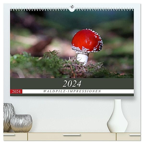 Waldpilz-Impressionen (hochwertiger Premium Wandkalender 2024 DIN A2 quer), Kunstdruck in Hochglanz, Flori0