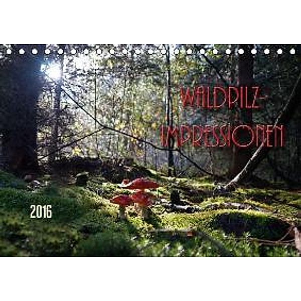 Waldpilz-Impressionen (Tischkalender 2016 DIN A5 quer), Flori0