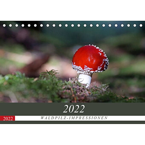 Waldpilz-Impressionen (Tischkalender 2022 DIN A5 quer), Flori0
