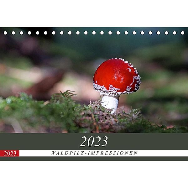 Waldpilz-Impressionen (Tischkalender 2023 DIN A5 quer), Flori0