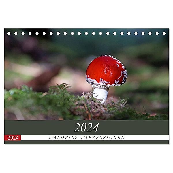 Waldpilz-Impressionen (Tischkalender 2024 DIN A5 quer), CALVENDO Monatskalender, Flori0
