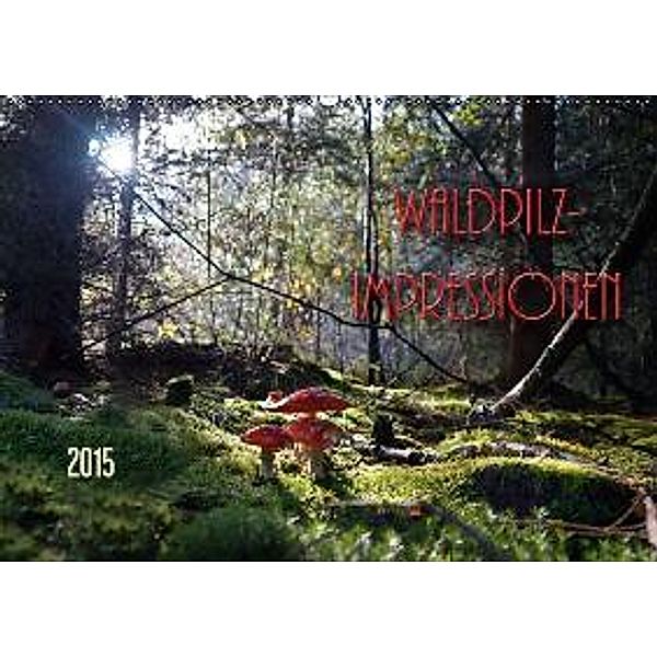 Waldpilz-Impressionen (Wandkalender 2015 DIN A2 quer), Flori0