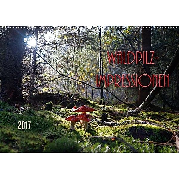 Waldpilz-Impressionen (Wandkalender 2017 DIN A2 quer), Flori0
