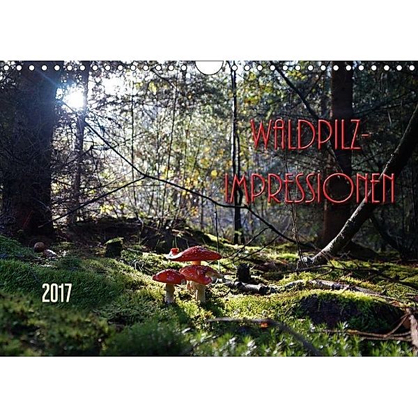 Waldpilz-Impressionen (Wandkalender 2017 DIN A4 quer), flori0, k.A. Flori0