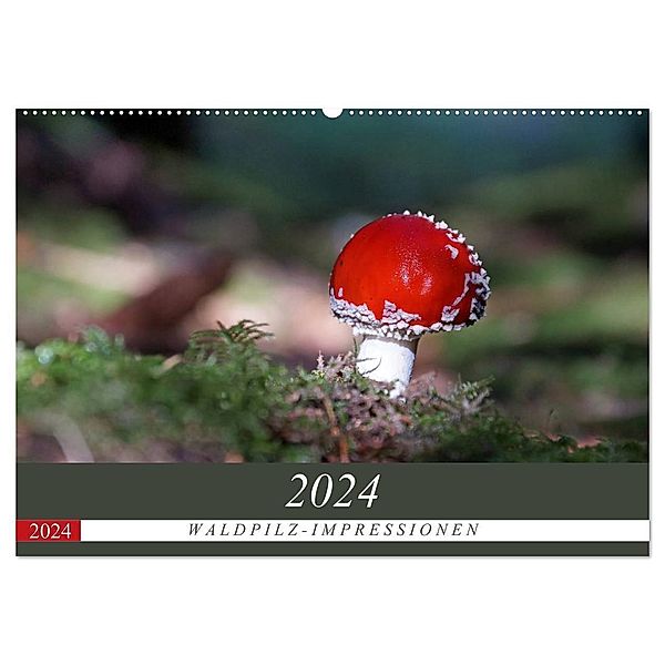 Waldpilz-Impressionen (Wandkalender 2024 DIN A2 quer), CALVENDO Monatskalender, Flori0