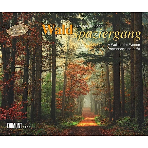 Waldspaziergang 2025 - Fotokunst-Kalender - Querformat 60 x 50 cm - Spiralbindung