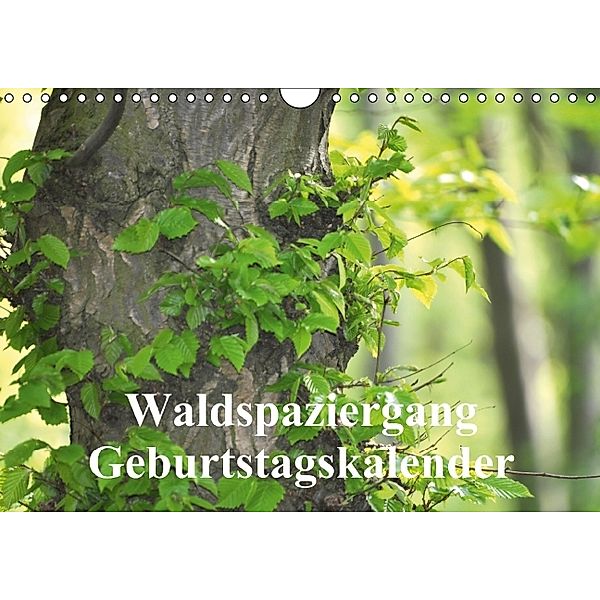 Waldspaziergang/Geburtstagskalender (Wandkalender immerwährend DIN A4 quer), Claudia Burlager