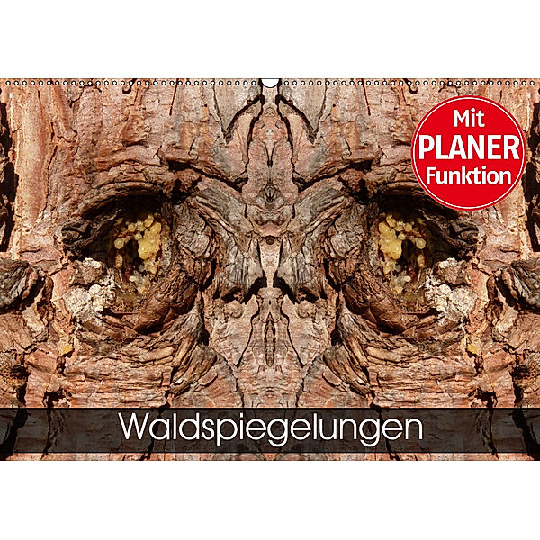 Waldspiegelungen (Wandkalender 2019 DIN A2 quer), Elken Schlüfter