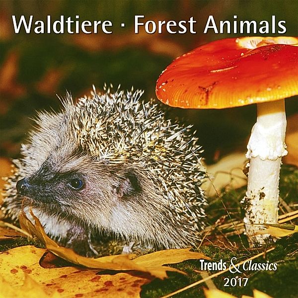 Waldtiere / Forest Animals 2017