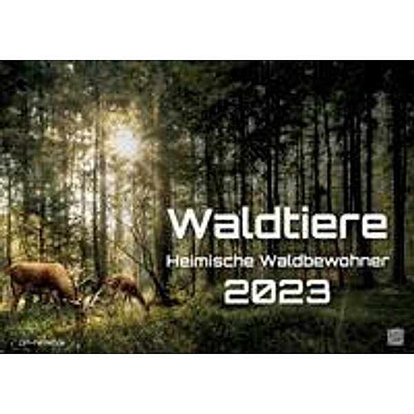 Waldtiere - Heimische Waldbewohner - Der Tierkalender - 2023 - Kalender DIN A2
