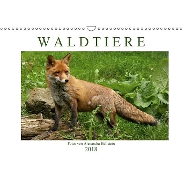 Waldtiere (Wandkalender 2018 DIN A3 quer), Alexandra Hollstein