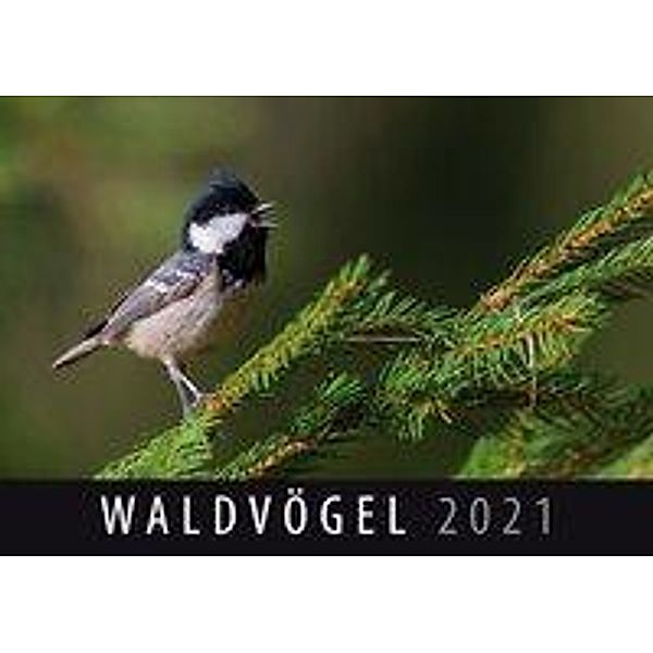 Waldvögel 2021