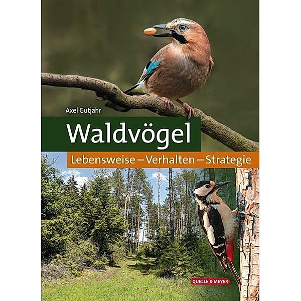 Waldvögel, Axel Gutjahr