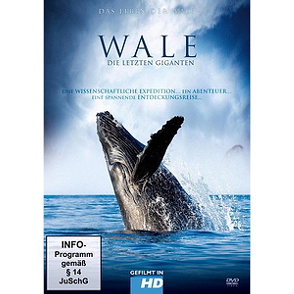 Wale - Die letzten Giganten, Tiere Ganz Nah