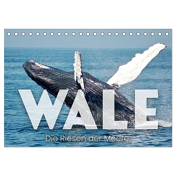 Wale - Die Riesen der Meere. (Tischkalender 2024 DIN A5 quer), CALVENDO Monatskalender, SF