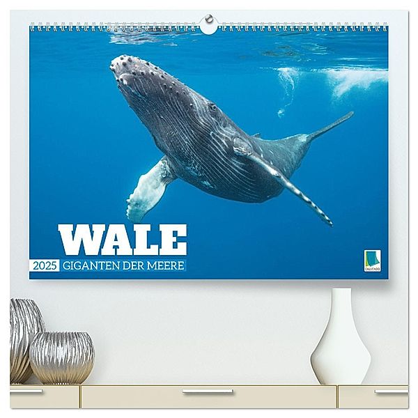 Wale: Giganten der Meere (hochwertiger Premium Wandkalender 2025 DIN A2 quer), Kunstdruck in Hochglanz, Calvendo