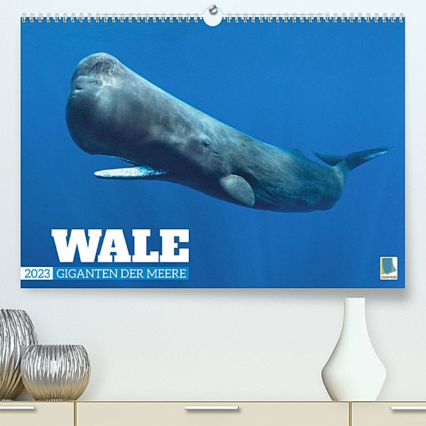 Wale: Giganten der Meere (Premium, hochwertiger DIN A2 Wandkalender 2023, Kunstdruck in Hochglanz), Calvendo