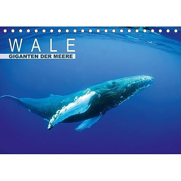 Wale - Giganten der Meere (Tischkalender 2014 DIN A5 quer)