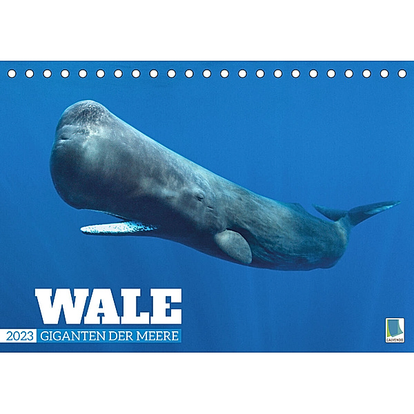 Wale: Giganten der Meere (Tischkalender 2023 DIN A5 quer), Calvendo