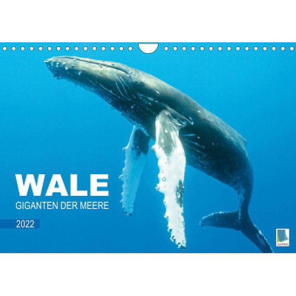 Wale: Giganten der Meere (Wandkalender 2022 DIN A4 quer), Calvendo