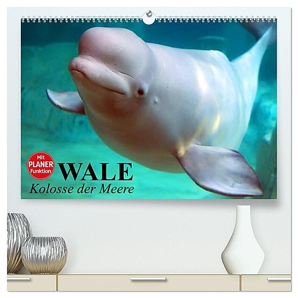Wale. Kolosse der Meere (hochwertiger Premium Wandkalender 2024 DIN A2 quer), Kunstdruck in Hochglanz, Elisabeth Stanzer