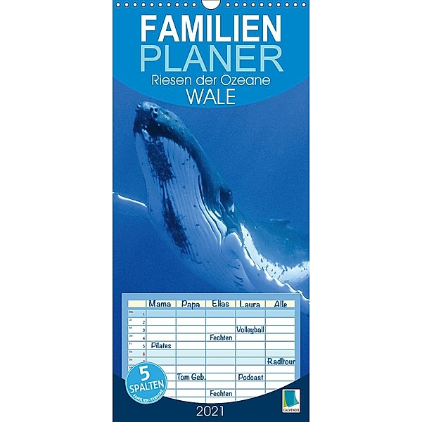 Wale: Riesen der Ozeane (Wandkalender 2021 , 21 cm x 45 cm, hoch), Calvendo