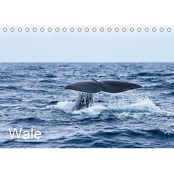 Wale (Tischkalender 2020 DIN A5 quer), Helmut Gulbins