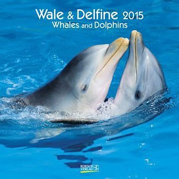 Wale und Delfine 2015