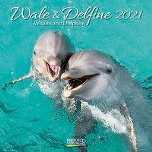 Wale und Delfine 2021