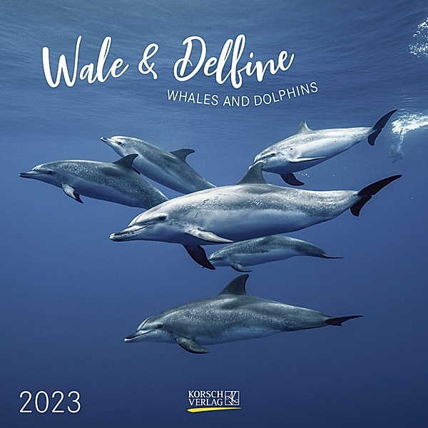 Wale und Delfine 2023