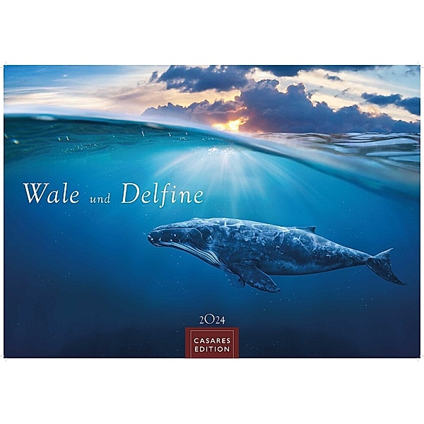 Wale und Delfine 2024 S 24x35cm