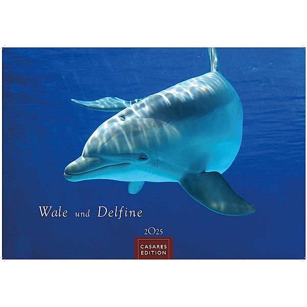 Wale und Delfine 2025 L 35x50cm
