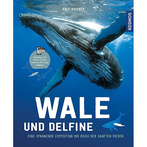 Wale und Delfine, Ralf Kiefner