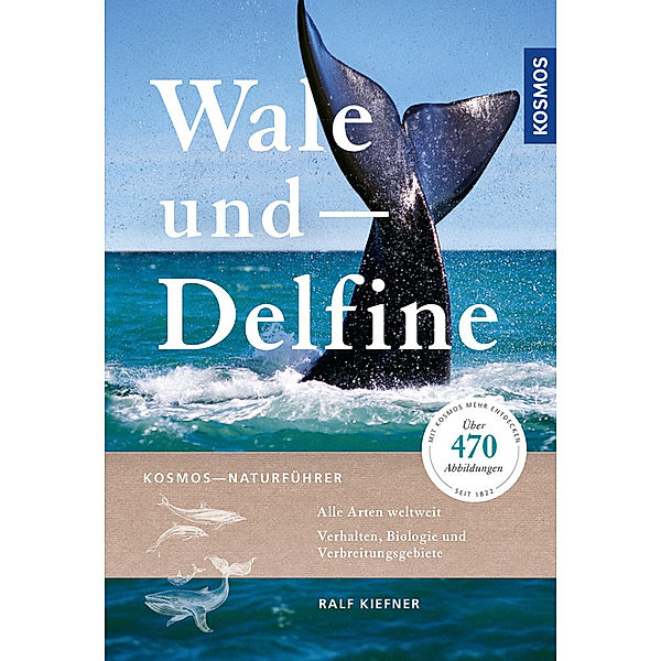 Wale und Delfine, Ralf Kiefner