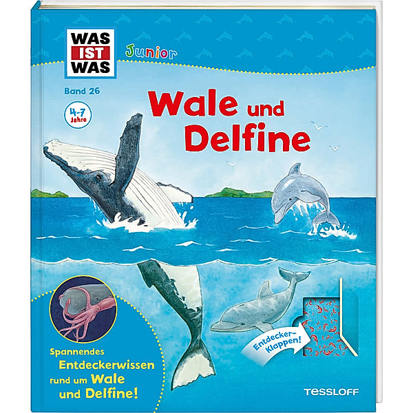 Wale und Delfine / Was ist was junior Bd.26, Bärbel Oftring