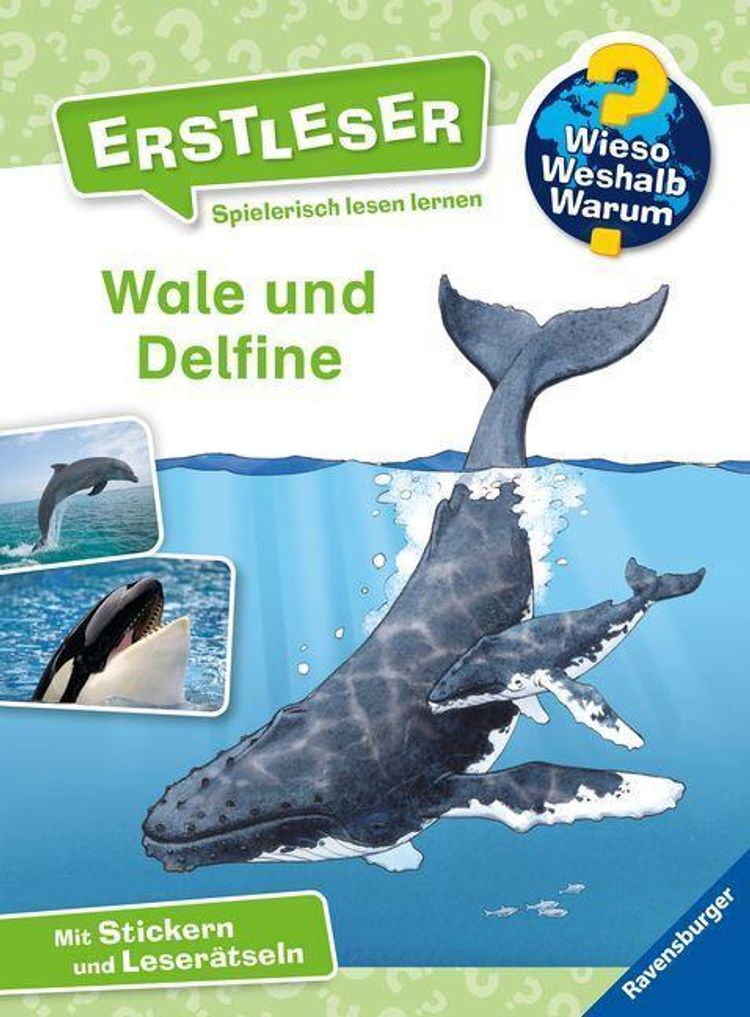 Wale und Delfine Wieso? Weshalb? Warum? - Erstleser Bd.3 Buch