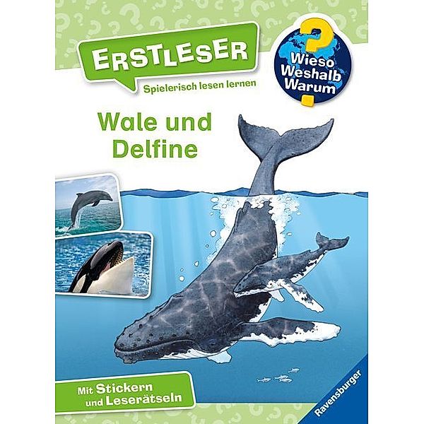 Wale und Delfine / Wieso? Weshalb? Warum? - Erstleser Bd.3, Sandra Noa