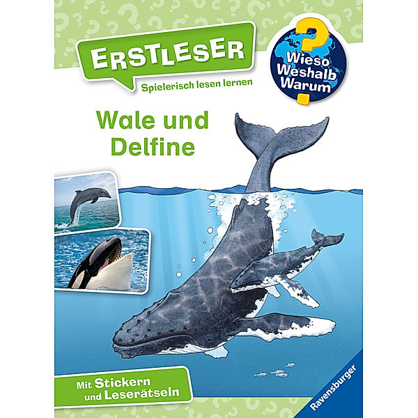 Wale und Delfine / Wieso? Weshalb? Warum? - Erstleser Bd.3, Sandra Noa