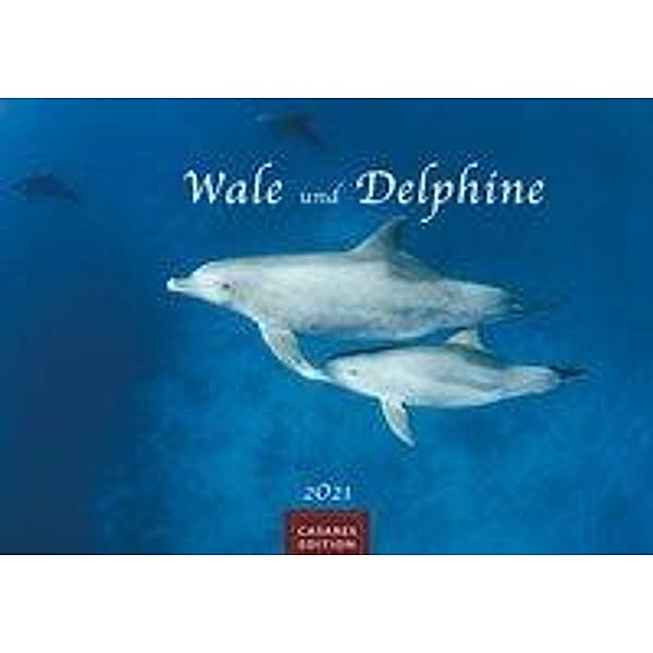 Wale und Delphine 2021 L
