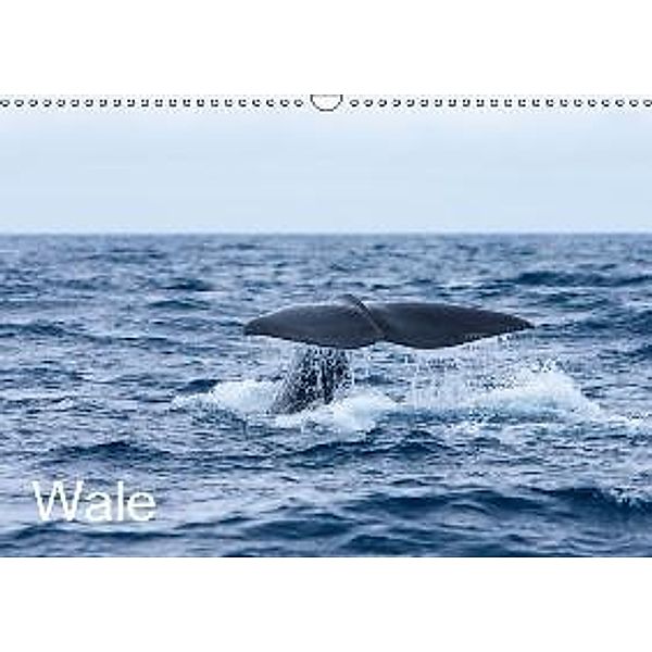 Wale (Wandkalender 2016 DIN A3 quer), Helmut Gulbins